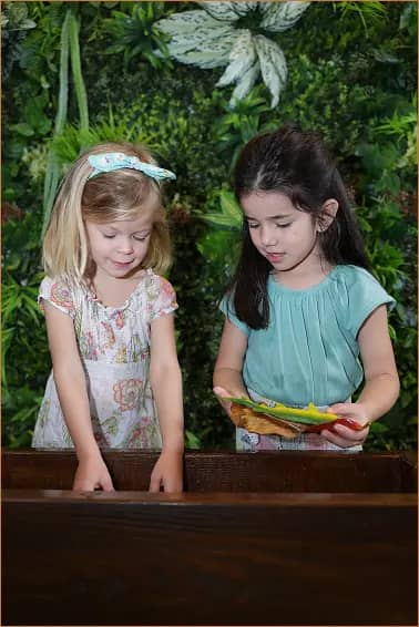 Learns has been in this nursery