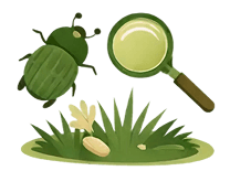 Nature Walk, Bug Hunts & Wildlife Awareness