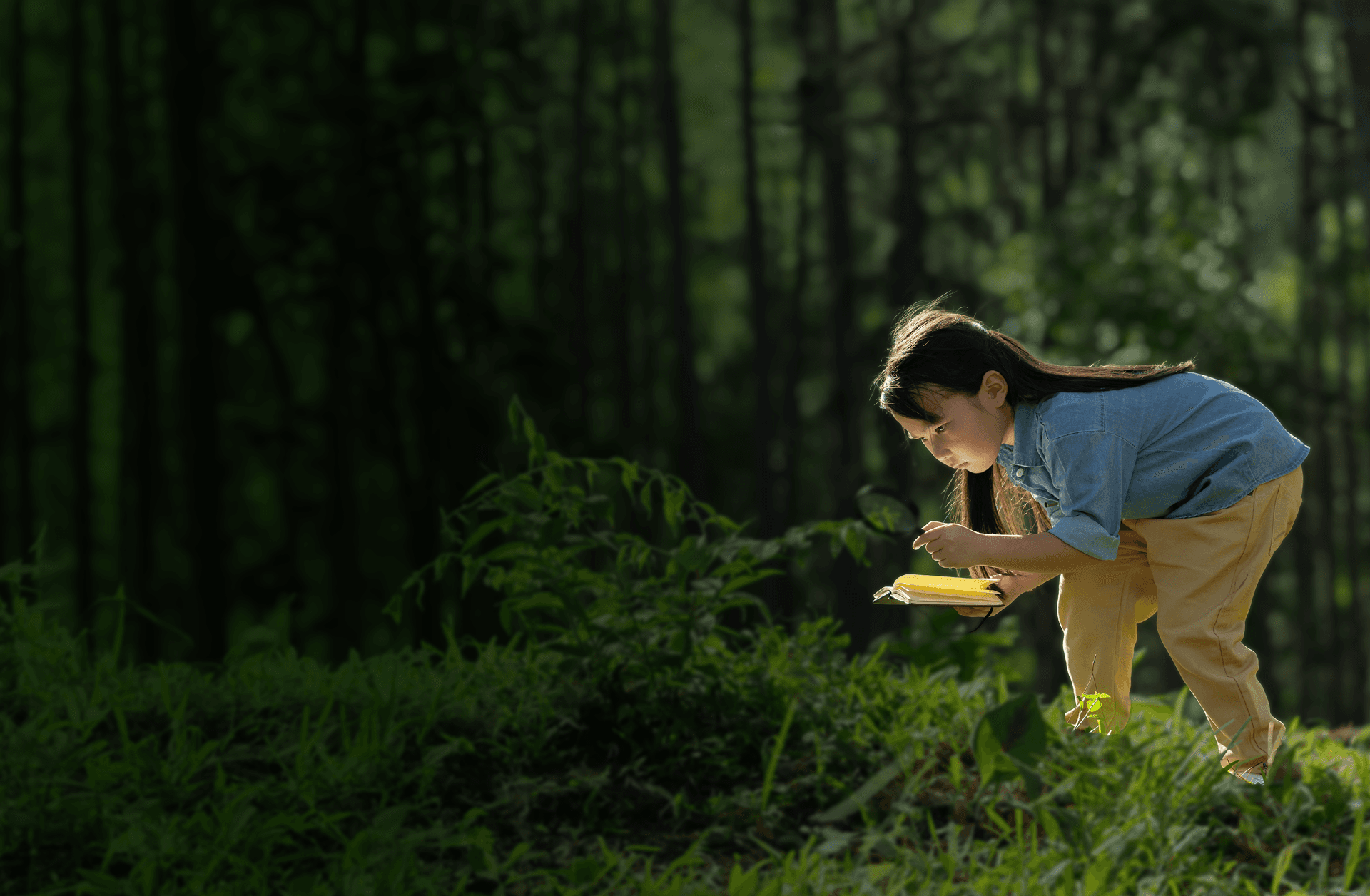 Girl playing in grass at Forest Oasis Nursery