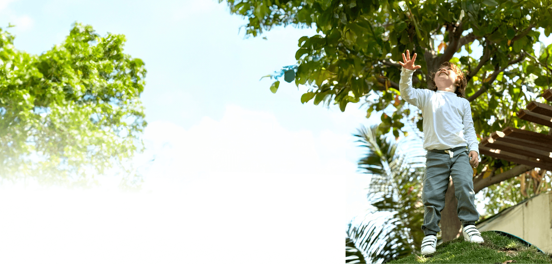 Nature background for Forest Oasis Nursery