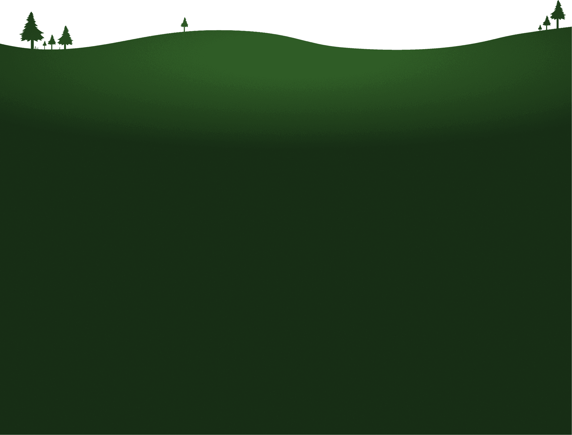 Decorative forest canopy