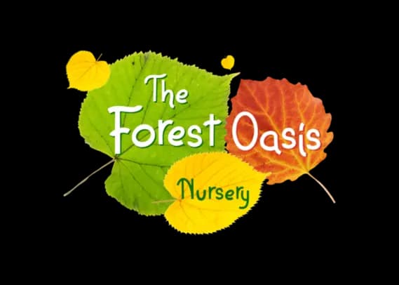 Forest Oasis Nursery - Heart of Nature Forest Oasis Nursery Logo